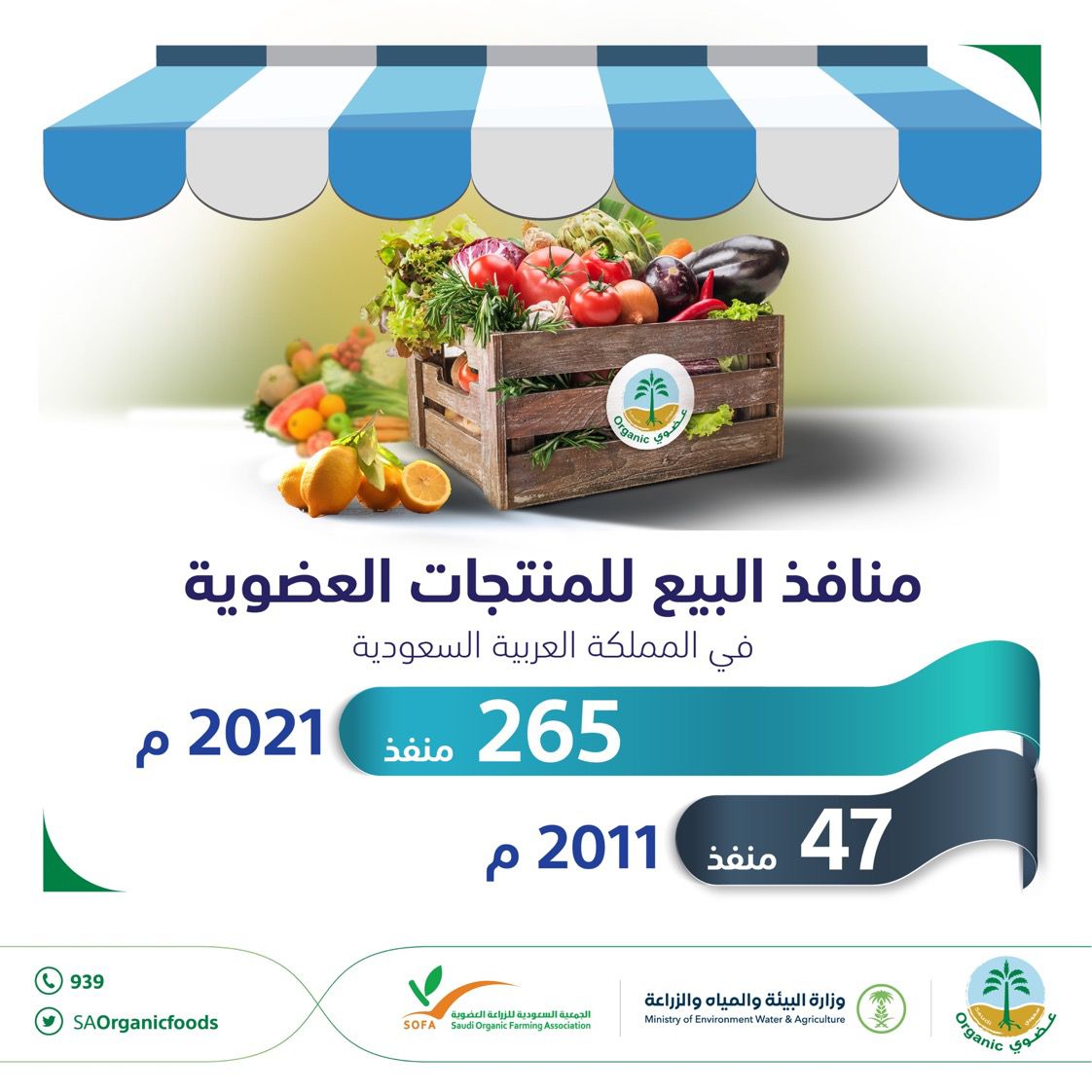 منافذ البيع ونموها خلال عشرة أعوام ​